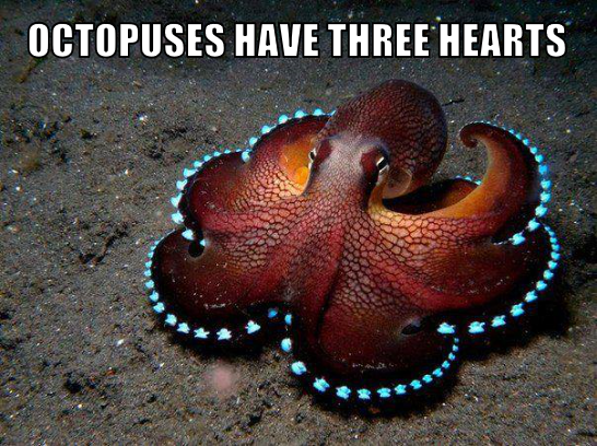 DailyKnowledge2's tweet image. 