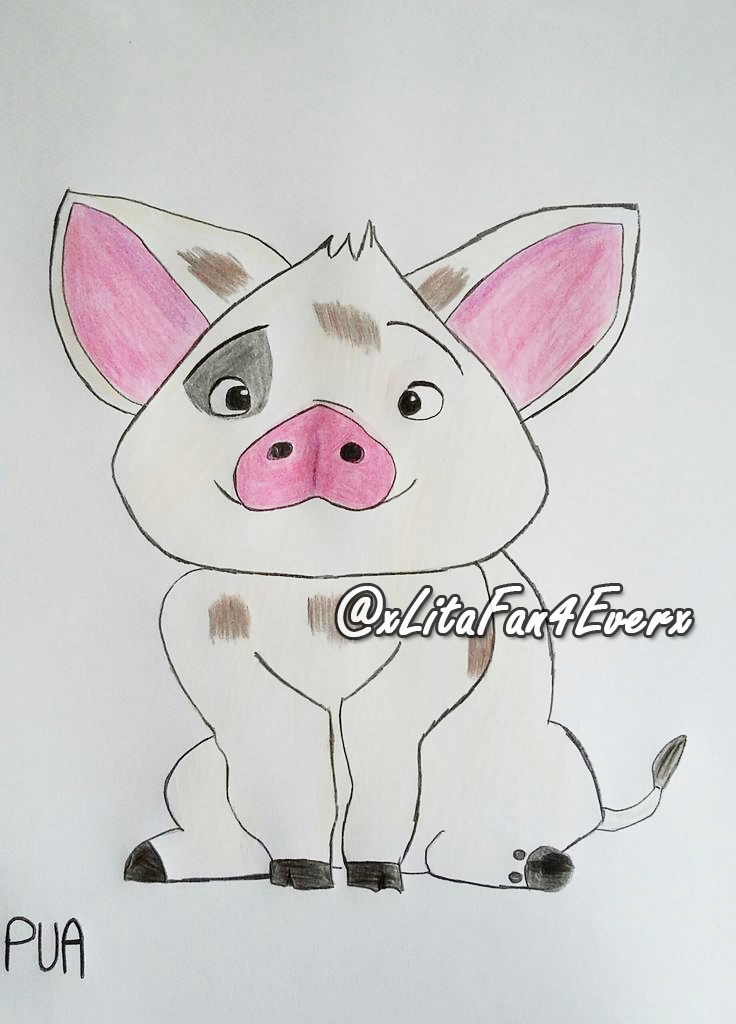 Samantha ⚡️ on Twitter: "New fan art of Pua from Disney's upcoming film ...
