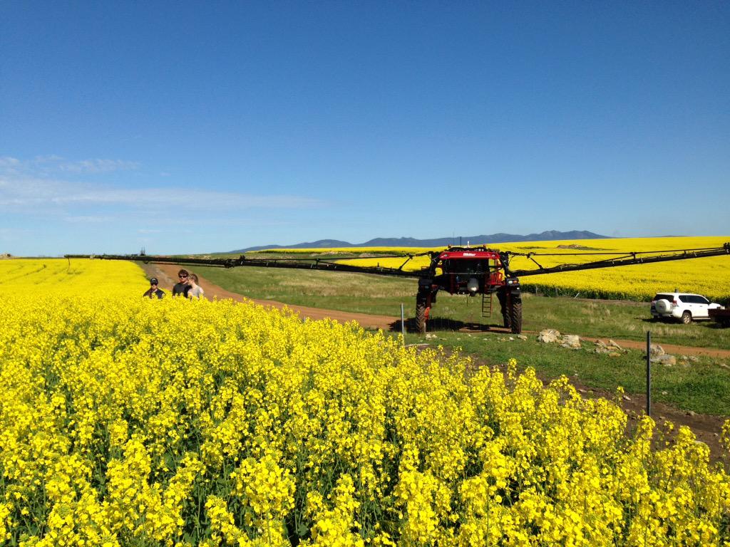 #paddockpride @NuseedAustralia Lunch break ,family catch up, pit stop repair <a href="/Bayer4CropsAU/">Bayer AU 🇦🇺 | Crop Science</a> parsaro spray.#GT50.