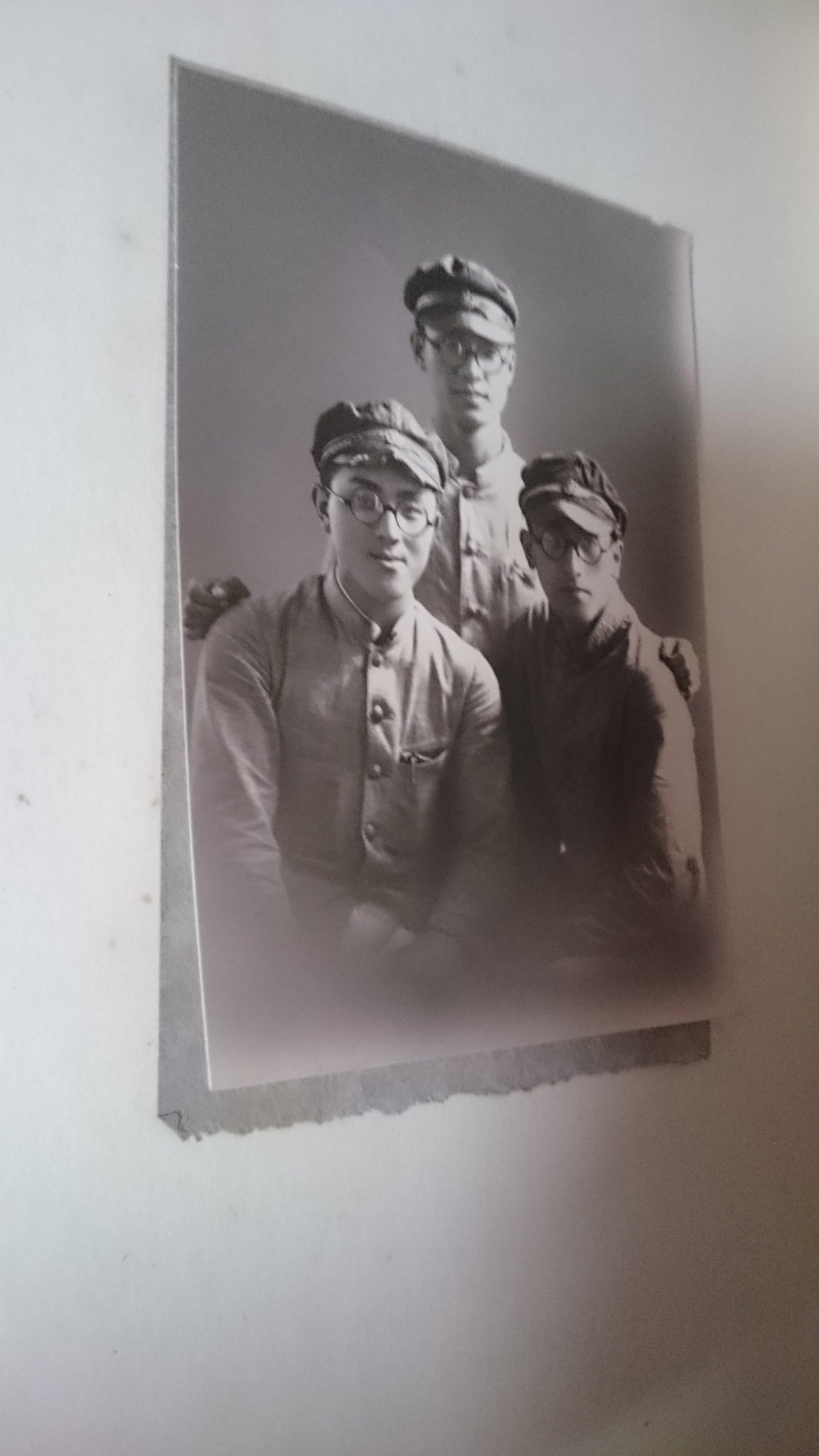 驚異の陳列室 on Twitter