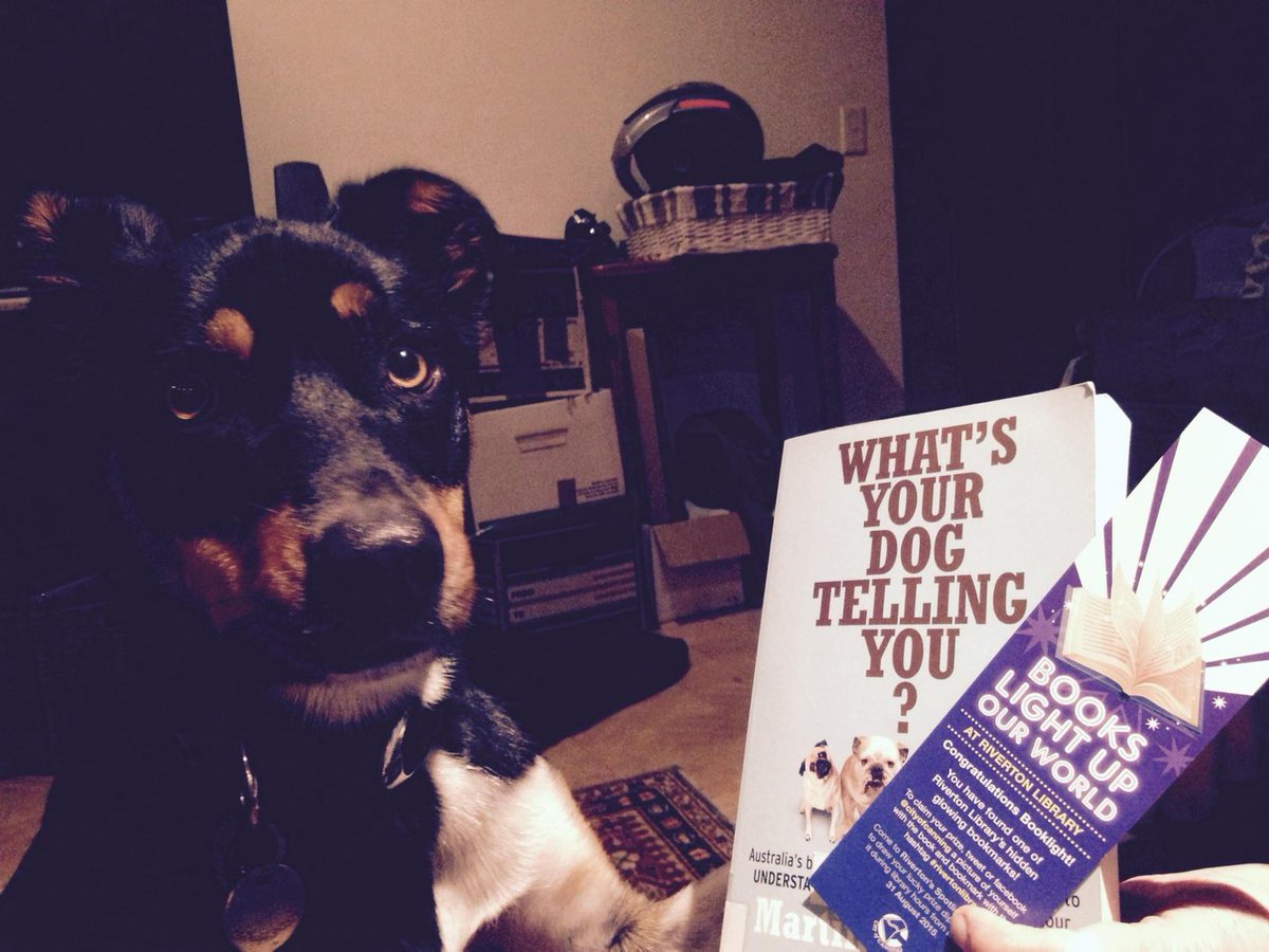 margjrobbo's tweet photo. @Cityofcanning #rivertonlibrary Barney knew he was on to something. So, books light up our world...handy in the dark http://t.co/avD6S6AVSN
