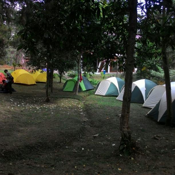 Sewa Outdoor Solo tweet media