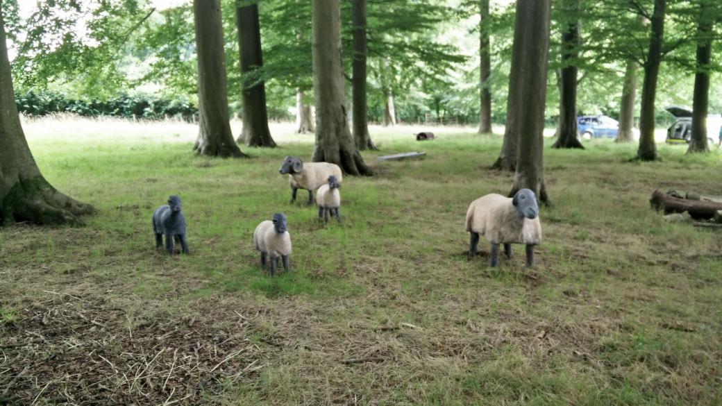 The alien sheep of #SaintFagans. Are they not of this Earth?