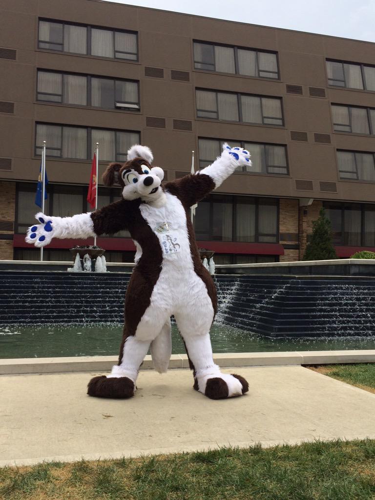 MiloPuppyDog's tweet photo. At #IndyFurCon2015 being a dog! *wags* http://t.co/NuBnQ4gxX7