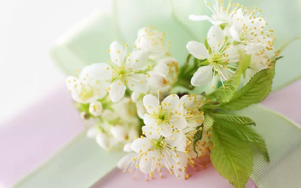MSabihK's tweet photo. @zaashaa78 will be waiting for you here bajo!☺best of luck may Allah bless you with lots of khushi and sakoon-Ameen💖🌹 http://t.co/LabO3cJV33