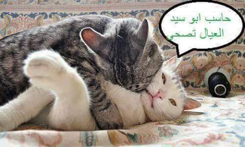 KoutaAli's tweet photo. http://t.co/Tdts4UUB4c