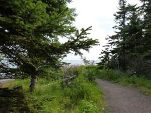 The heart’s path acourseoflove.com/the-hearts-pat…