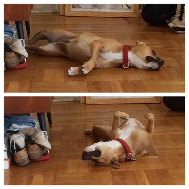 nancywhang's tweet photo. 6 hours in a van through France. #currentmood #mystruggleisreal @laroutedurock #TJMlive http://t.co/o6NihGhSbt