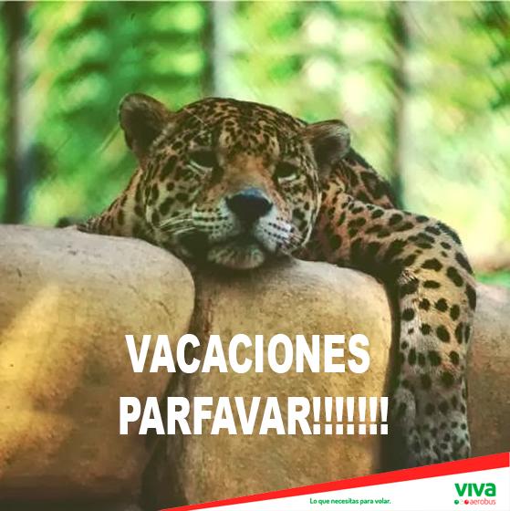 VivaAerobus's tweet image. #TípicoQue estas así: VACACIONES PARFAVAR!!!!!