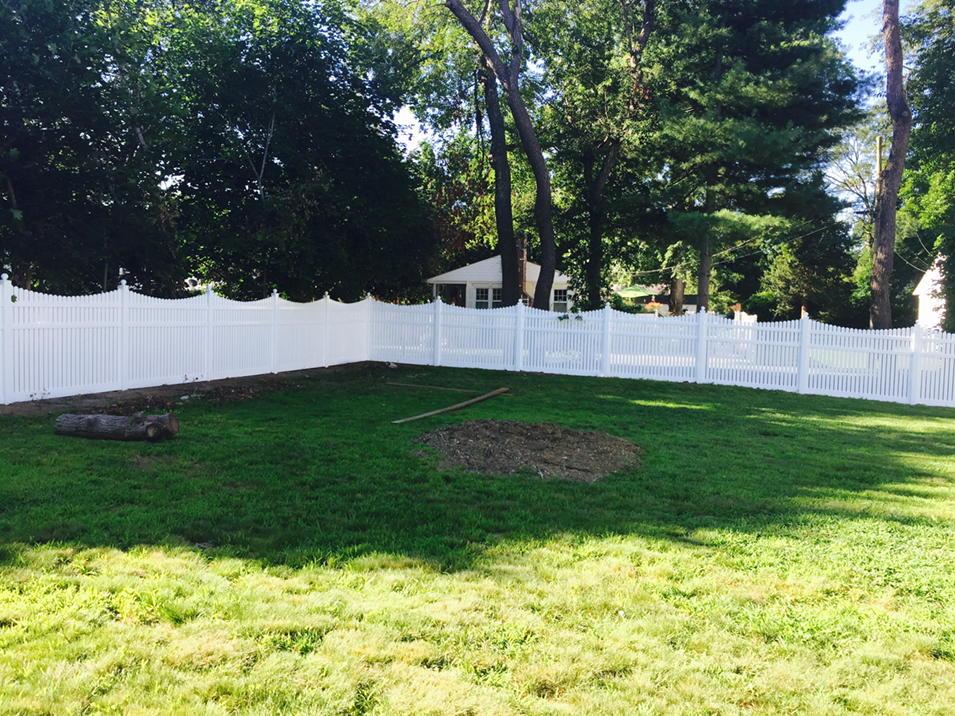 cfdllc's tweet image. Willow the Standard Poodle weekends in Old Saybrook in her newly fenced in retreat. #lucky dog