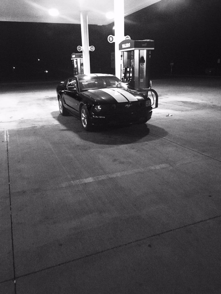 HuntinHogs tweet media