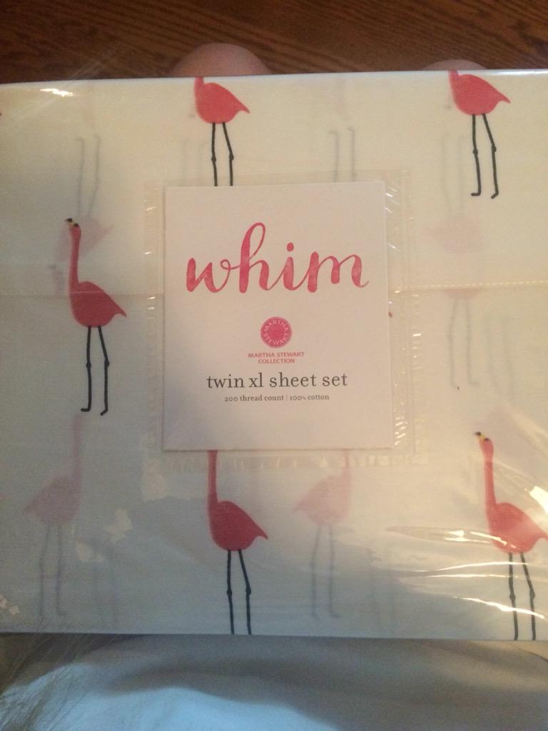 clairredavis's tweet image. Ok I'm ready for college