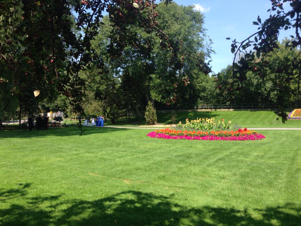 KnightLimo's tweet image. Lovely day for a wedding with Knight Limo at Lorne Park!