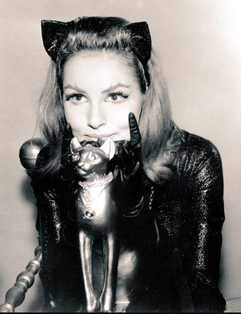 Happy Birthday to Julie Newmar!   