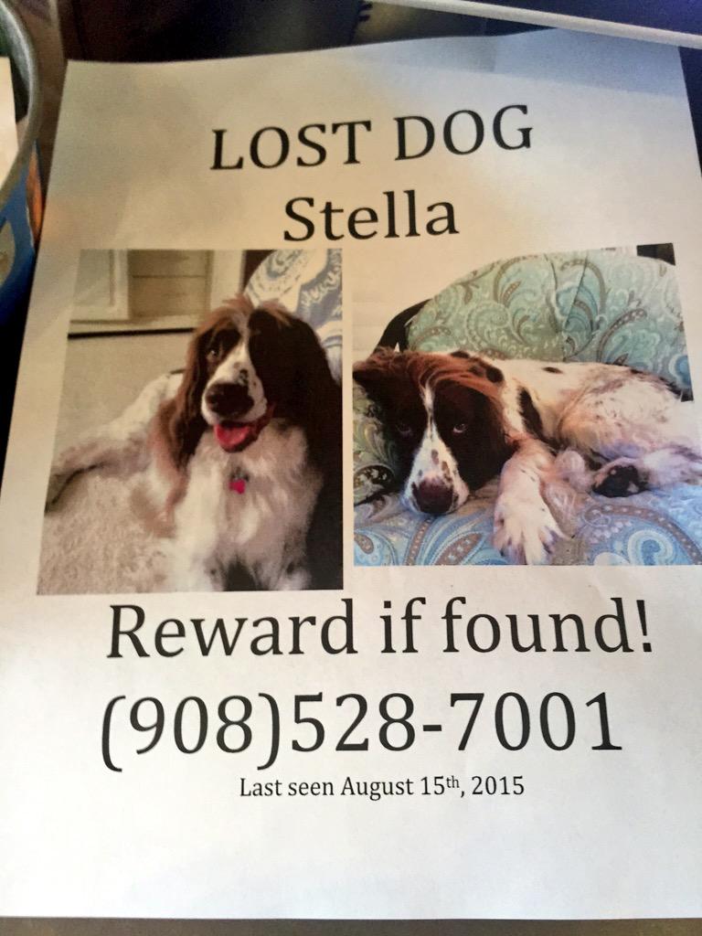 SupDogsECU's tweet image. Has anyone seen this dog?? Maintenance guy accidentally left gate open and it's missing. Owners are reallllly upset😥