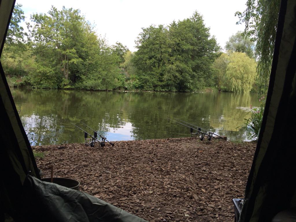 One night for Alfie and me to catch one more whacker <a href="/Taswood_lakes/">Taswood_lakes</a>