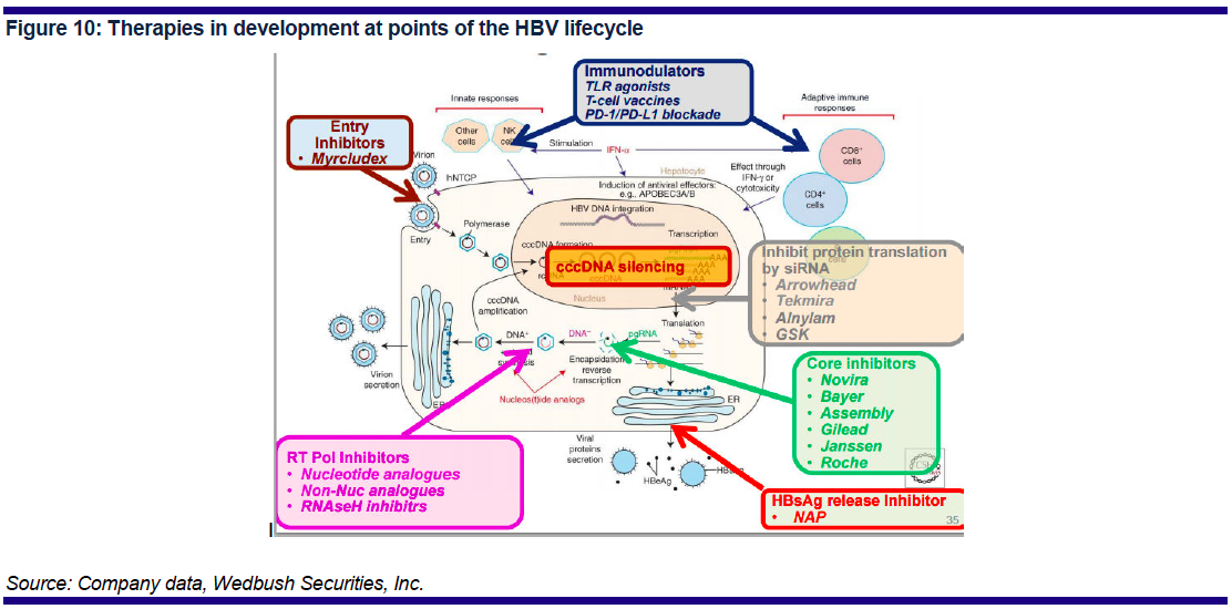 asclepiacap's tweet photo. HBV Lifecycle, Therapies in Development $ASMB $ABUS $ARWR $ISIS $ALNY $GILD $INO $ABVX #Replicor #SpringBank #Novira http://t.co/ddHWs78Frw