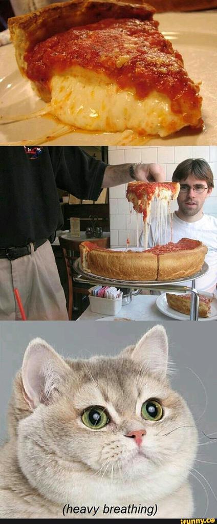 iFunnyMemess's tweet image. 