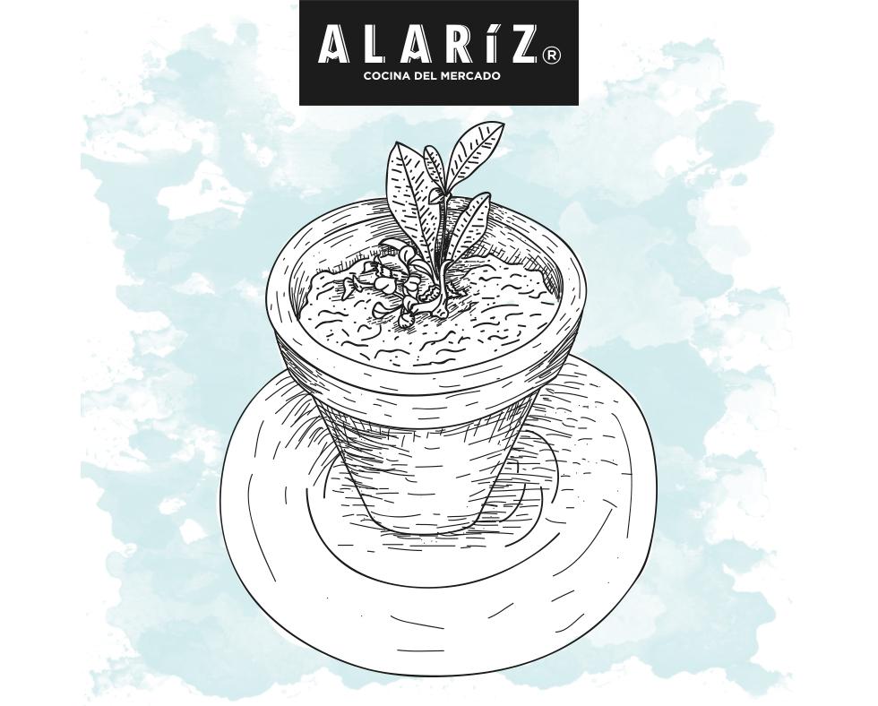 Pura vida // #Alaríz