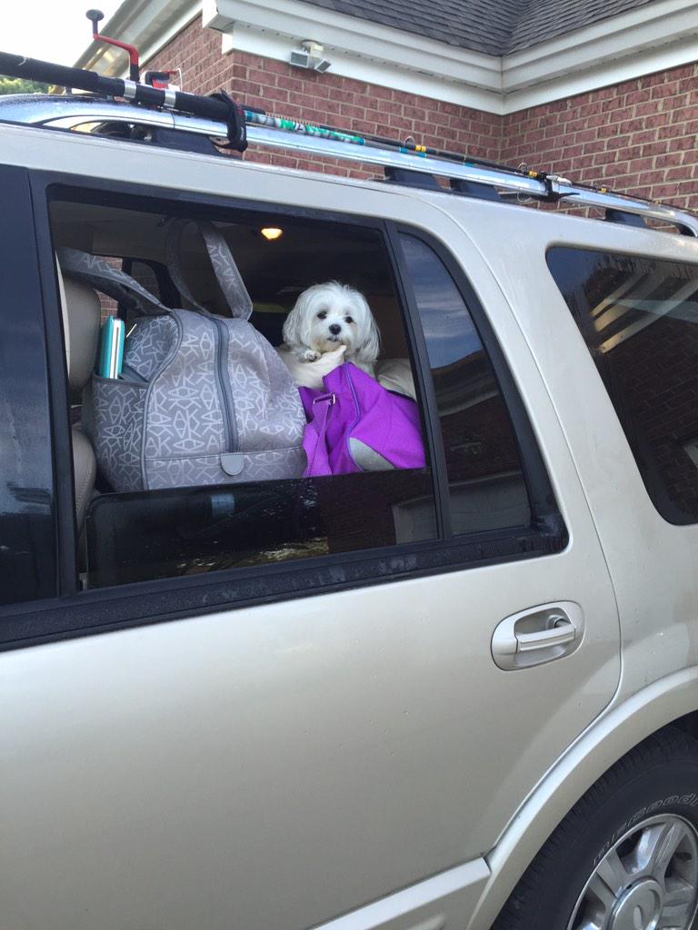 GAME ON Video Games tweet media