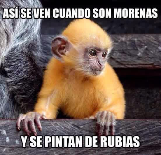 Terrible cuando las cortinas no combinan con el tapete...