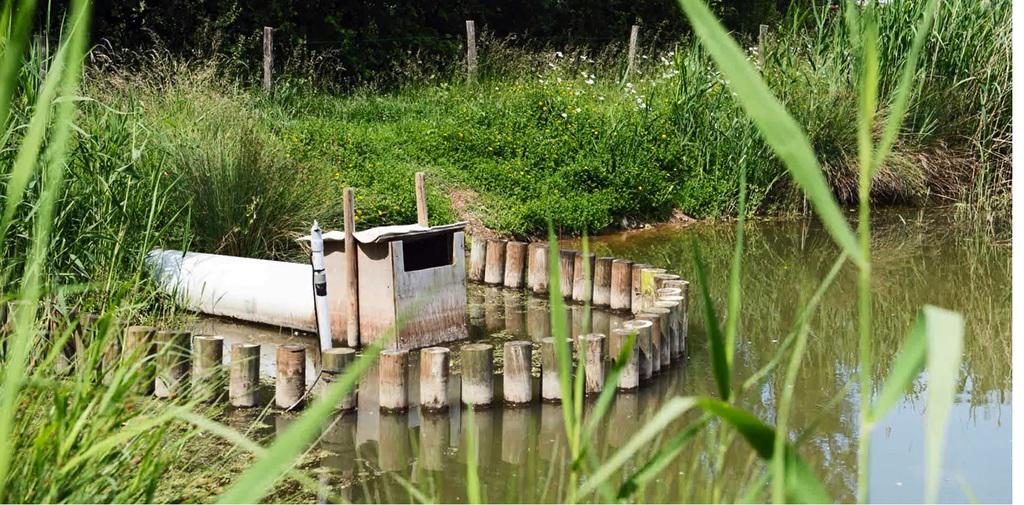 palaisdecouvert's tweet photo. [vidéo 5'] Des bactéries, auxiliaires écolo pour dépolluer les eaux agricoles ? Pari réussi !
 http://t.co/4Yy7b9uj71 http://t.co/GKtufYKYra