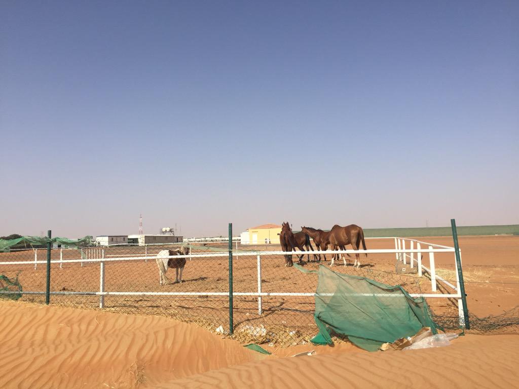 FatimaFumar's tweet image. 