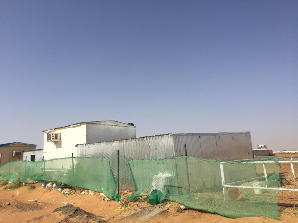 FatimaFumar's tweet image. 