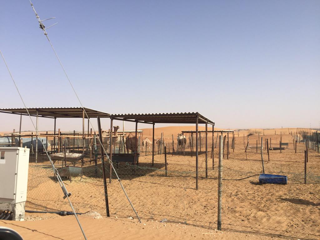 FatimaFumar's tweet image. 