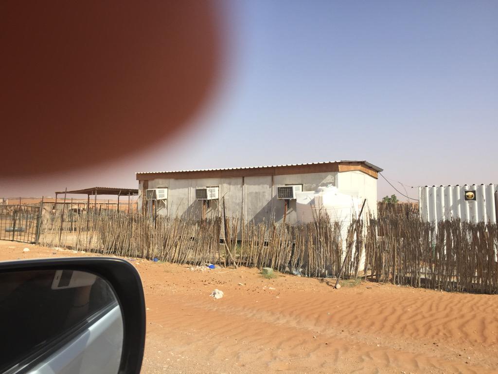 FatimaFumar's tweet image. 