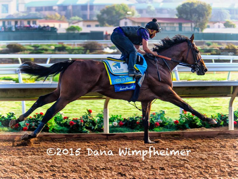Danakbw's tweet photo. More from Del Mar-
Go American Pharoah!!! http://t.co/fux9AGJPq2