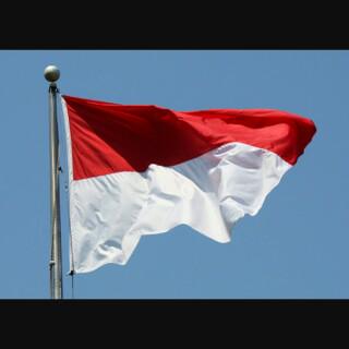 Fanda_Feil's tweet photo. Happy indenpendence day for indonesia. God bless you. :) http://t.co/TZSLb7kl1C
