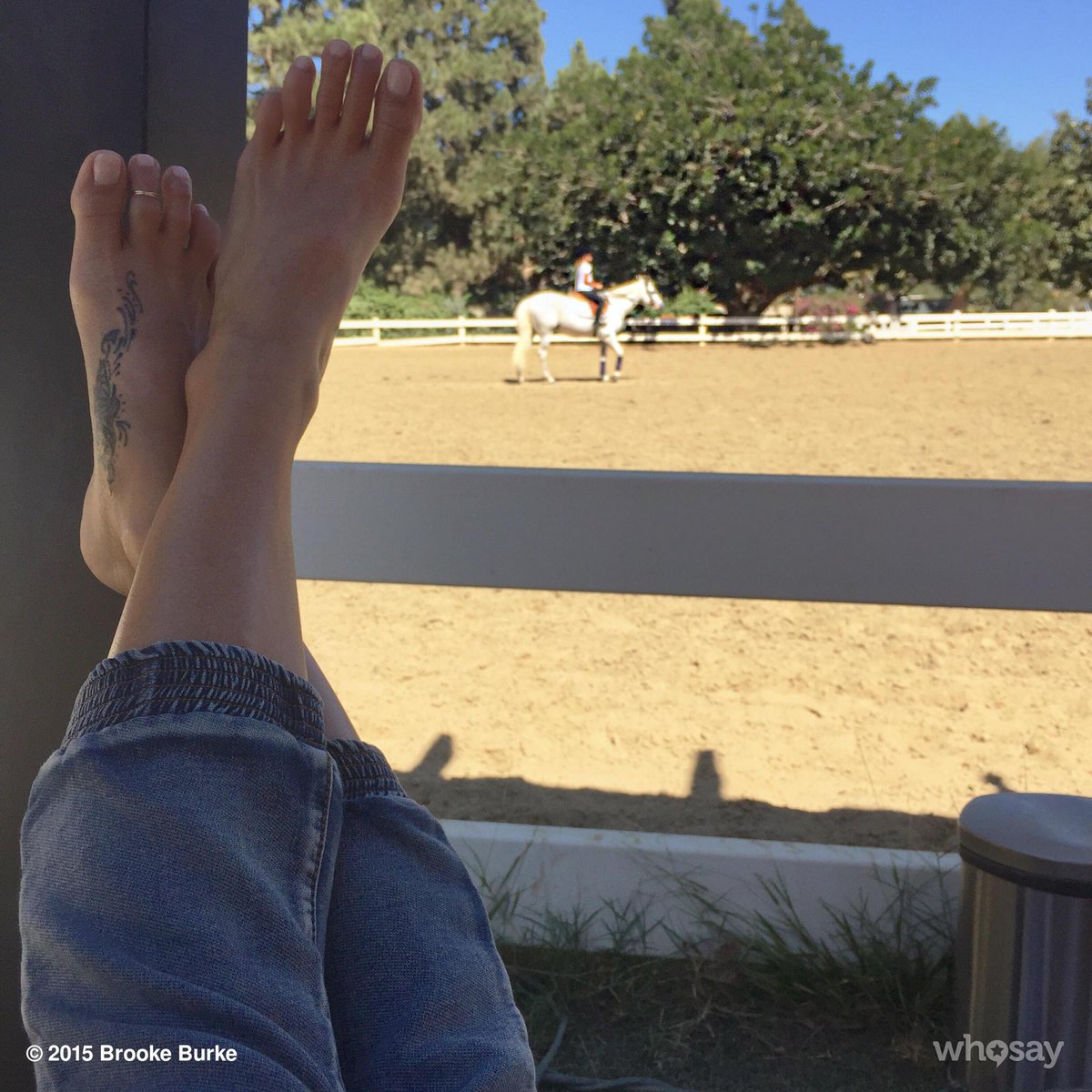 Lynn sigler feet jamie Actress Jamie