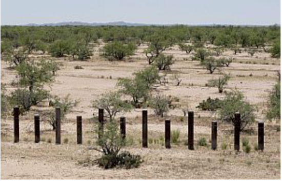 Jim Eastridge tweet media