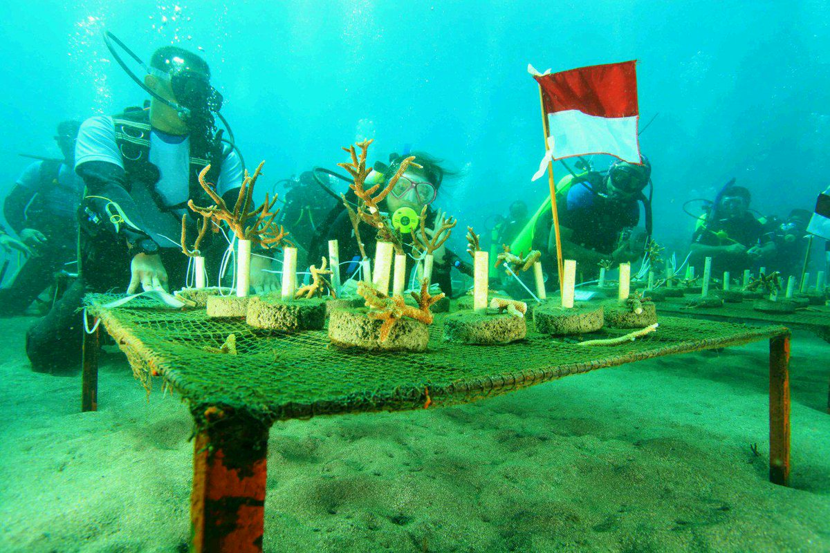 idmc_coralsaver's tweet photo. Merah Putih berkibar di bawah perairan Malalayang, Sabtu (15/8) HIDUP INDONESIA! @savecoralid @TNI_AL #SOLL http://t.co/WdGxAWDymP