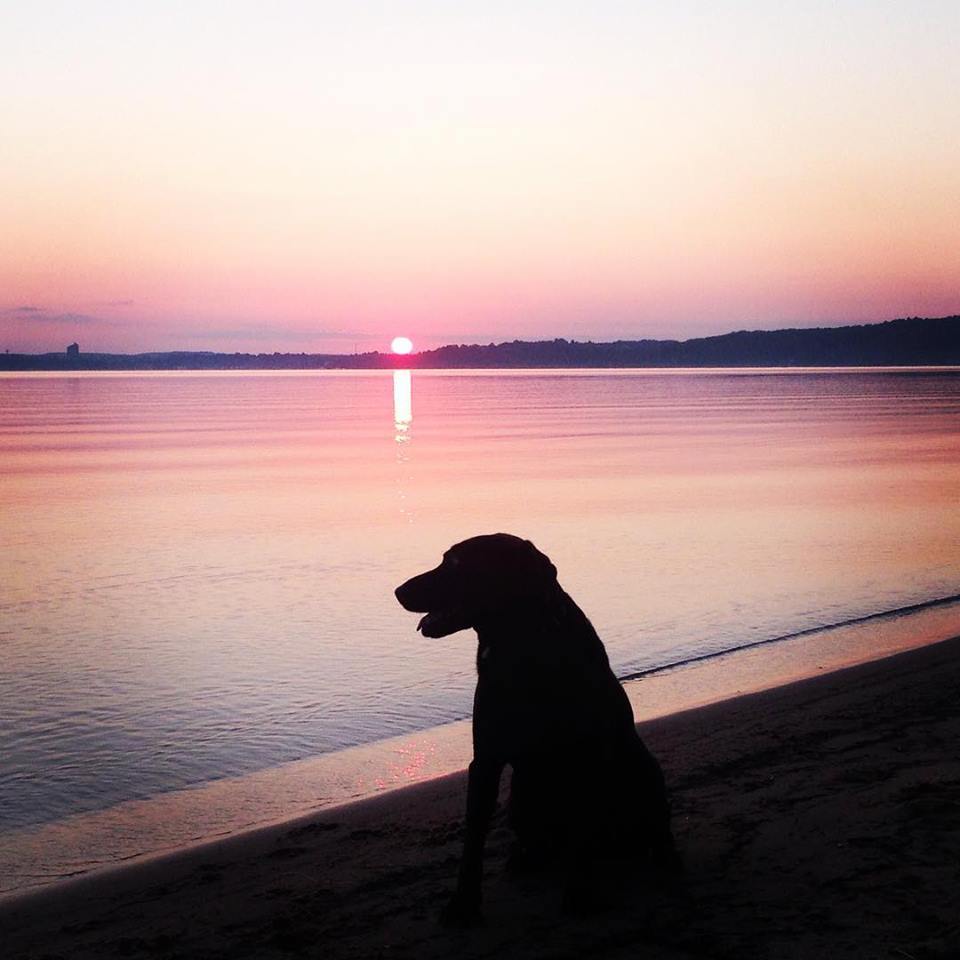 Explore_TC's tweet image. A perfect sunrise on East Grand Traverse Bay #exploretc #traversecity
