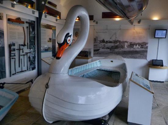 LiveExeter's tweet image. Ever said "I wonder where I can get a boat that looks like a swan" Wonder no more! @topshammuseum #LiveExeter #Exeter