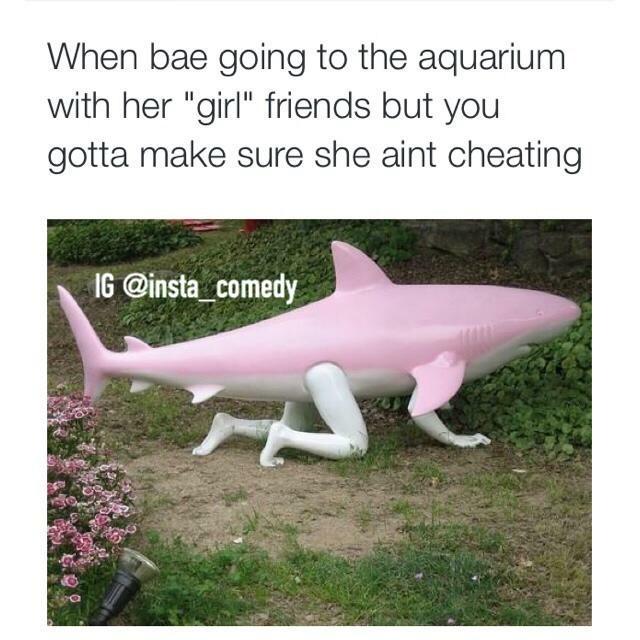 This just cracks me up, my young 21 year old friend sent these pics to me lol so funny http://t.co/2