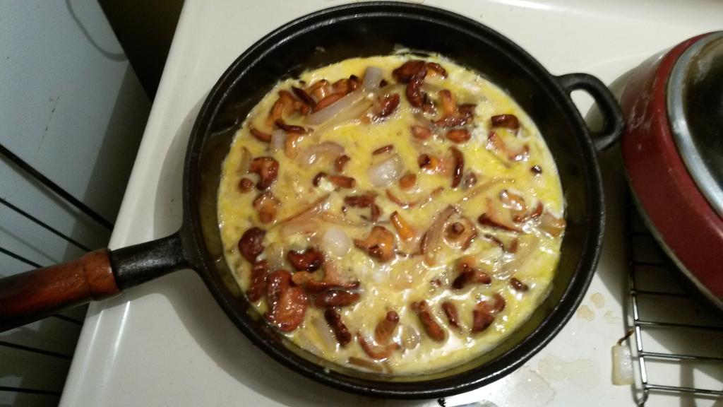 KelownaForager's tweet photo. Chanterelles. Bringing them to a potlatch. Nomnomnom http://t.co/GhMj7gQFMr