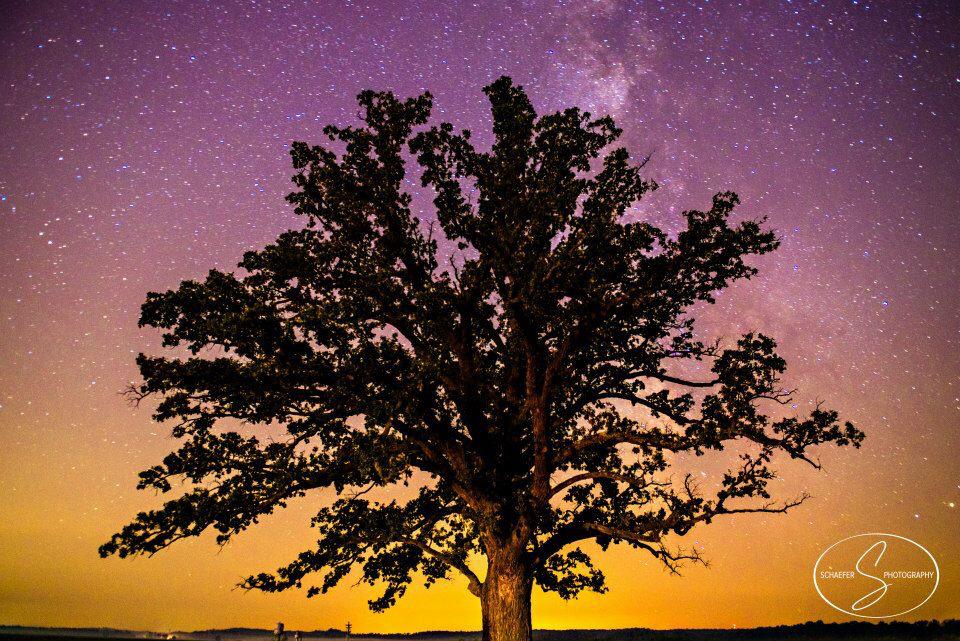 shooterschaefer's tweet photo. A shot of the big tree last night! Prints available http://t.co/GWa8iGVehx #tree #como #star #schaeferpix http://t.co/4J1SgOWdnE