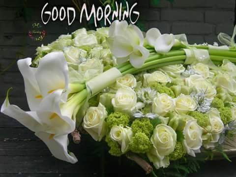 lbantmrad's tweet photo. @shewail55 تسلملي  يارب اختى http://t.co/iXzOyOHAi7
