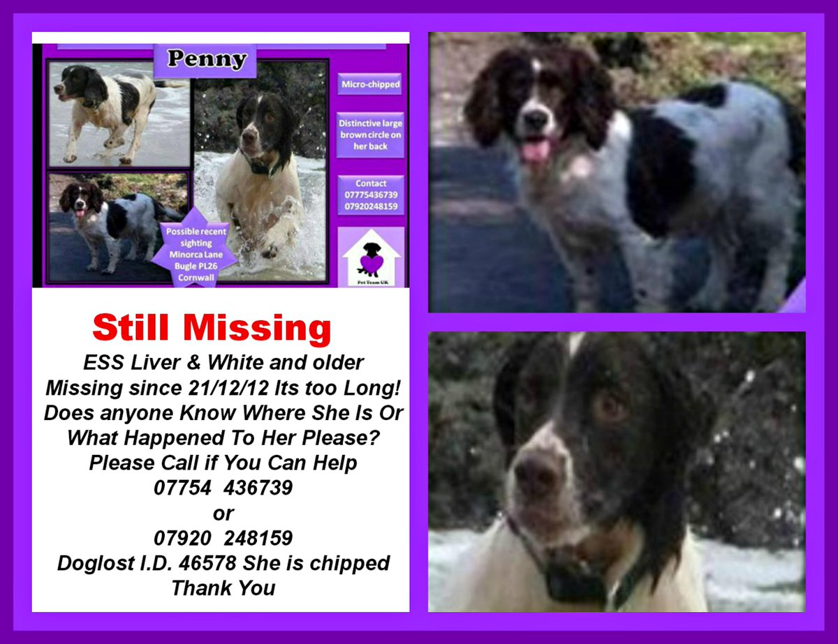 Sarah Williams tweet media