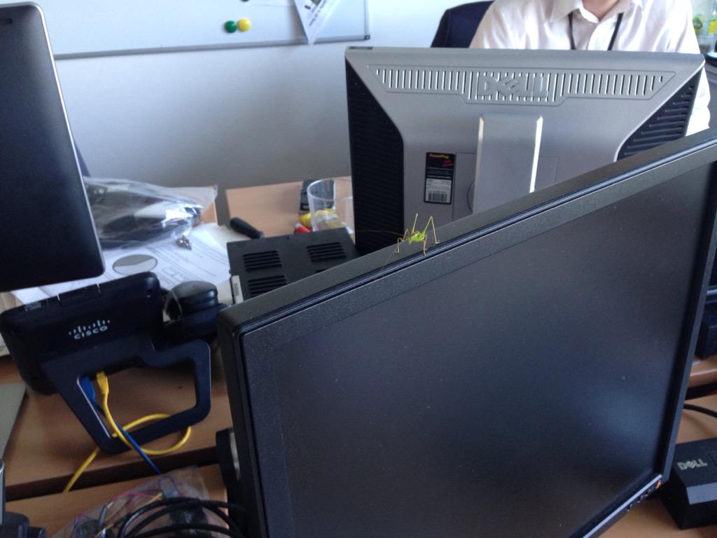 MartinBox87's tweet image. Under attack at the office! @lukeoxley86 @Hezza1972