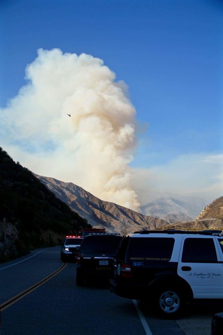 View image on Twitter