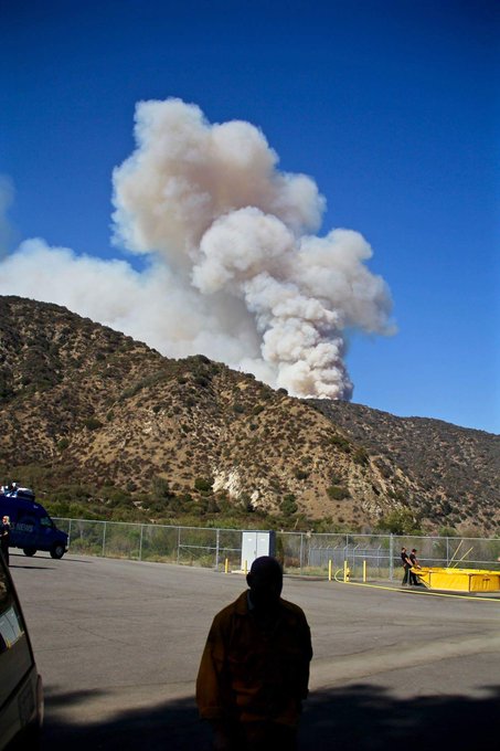 View image on Twitter