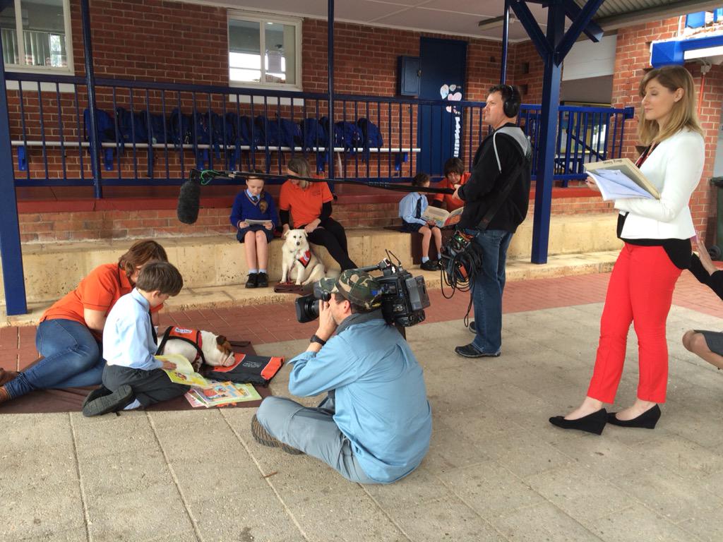 lisagallin's tweet image. Channel 7 are at my school to do a story about Story Dogs. We have some very excited children!
