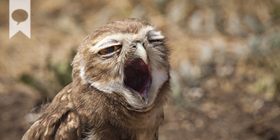 Yaaaawn! Happy Monday everyone! #mondays