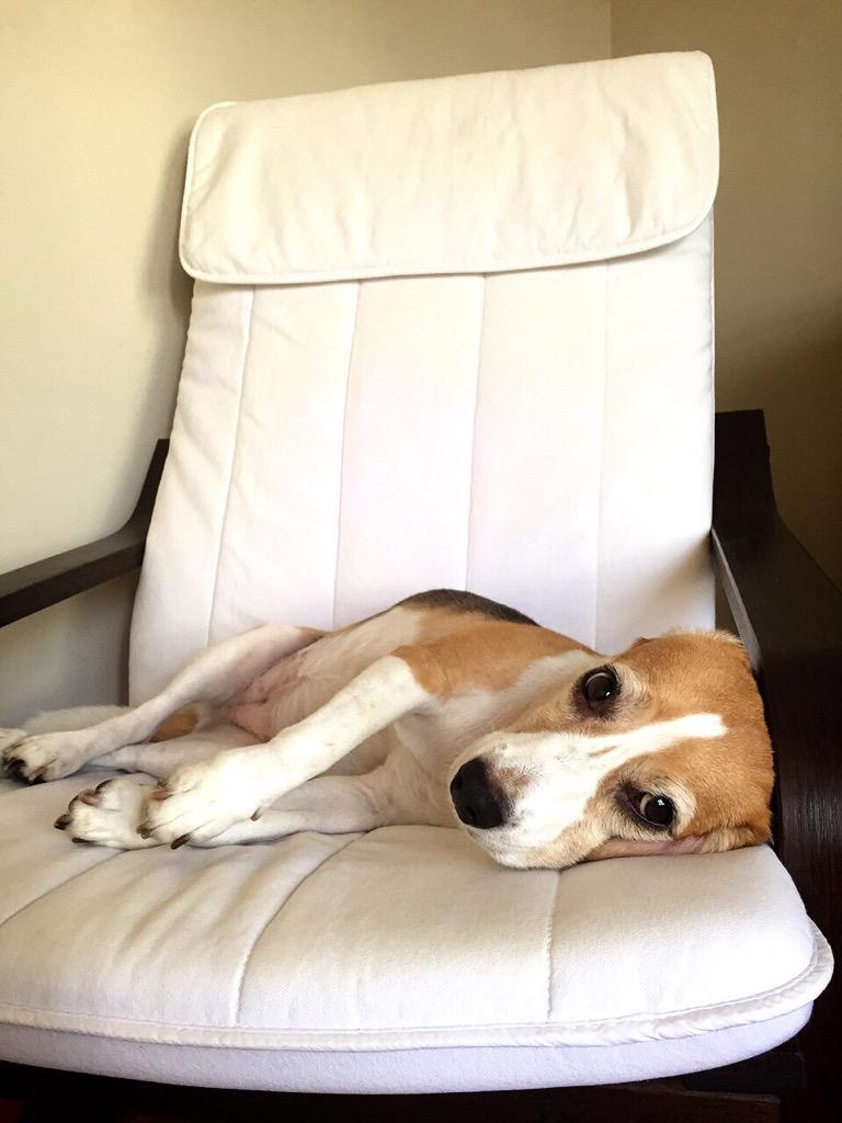 Lazy Monday #UmeLife