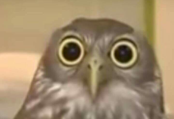 dalgleish31's tweet photo. When you tap your pockets and can't feel your phone http://t.co/ZSOskxRztJ