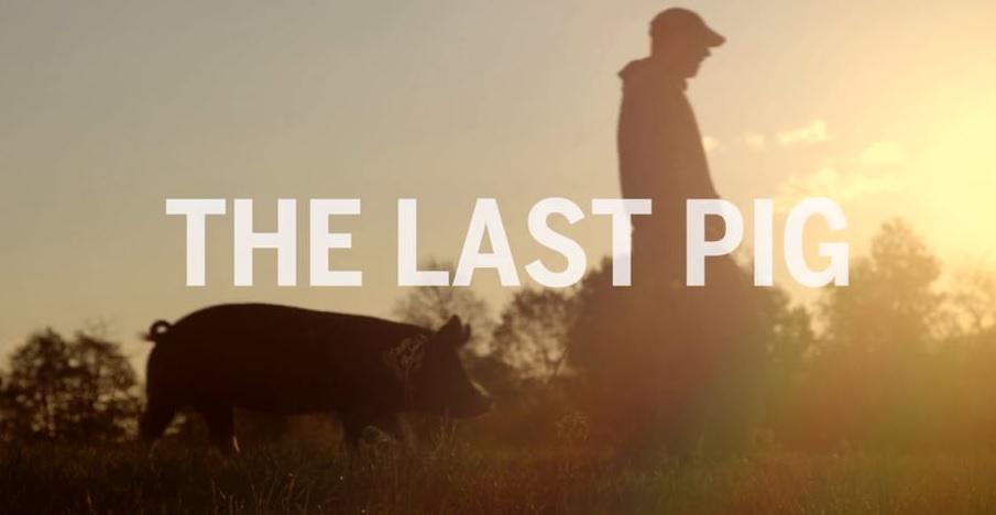 WakkerDier's tweet photo. Documentaire in de maak over varkensboer die geen varkens meer wil slachten. Bekijk de trailer http://t.co/uBtQBimdbR http://t.co/9Xa9fyYXEA